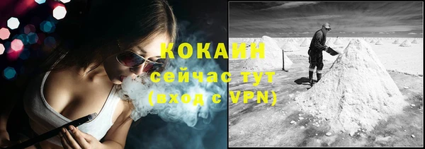 молекула духа Вуктыл